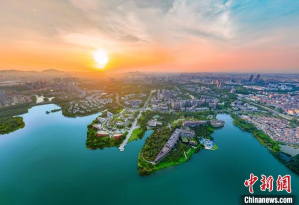 诚利和 荔枝林“长”出的科技城，何以吸引科创企业荟聚？
