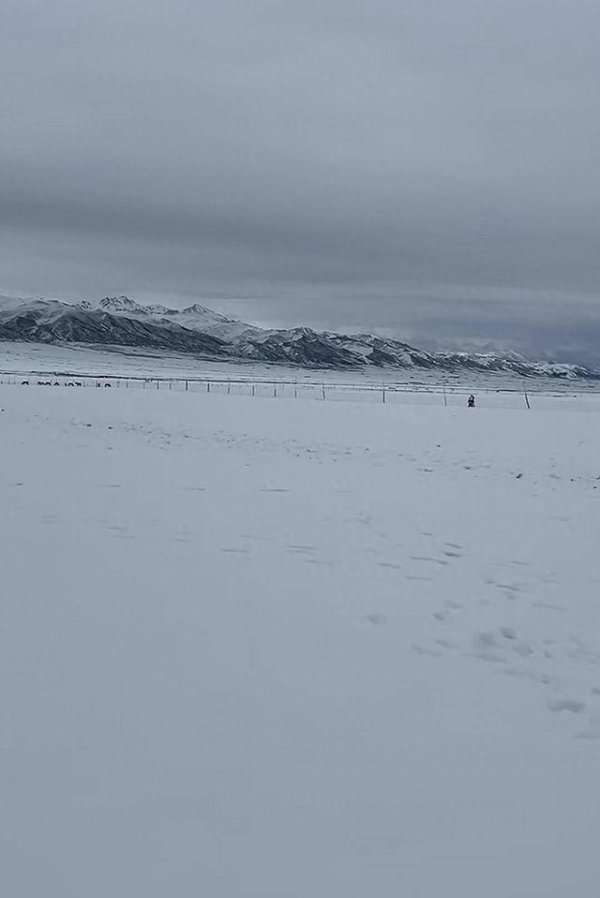 博宝配资 别地在炙烤青海在裹貂 当地气象局回应：是下雪了，但仅是海拔高区域