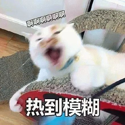 创盈在线 广州将迎强雷雨局部大暴雨！这些区域将退出“高温群聊”，降雨时间→