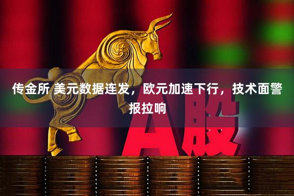 传金所 美元数据连发，欧元加速下行，技术面警报拉响