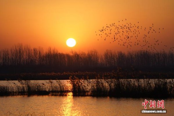 鸿E配资 山东探索生态与发展双赢新路径 变“生态包袱”为“绿色财富”